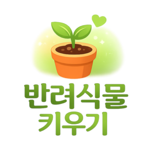 반려식물 키우기